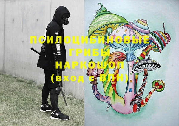 хмурый Горно-Алтайск