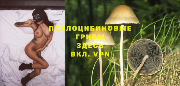 соль ск Горняк