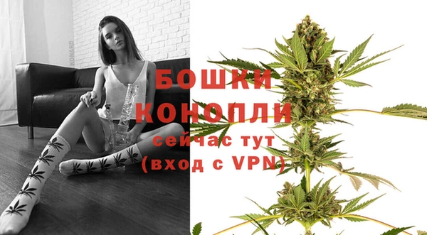 хмурый Горно-Алтайск