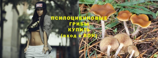 соль ск Горняк